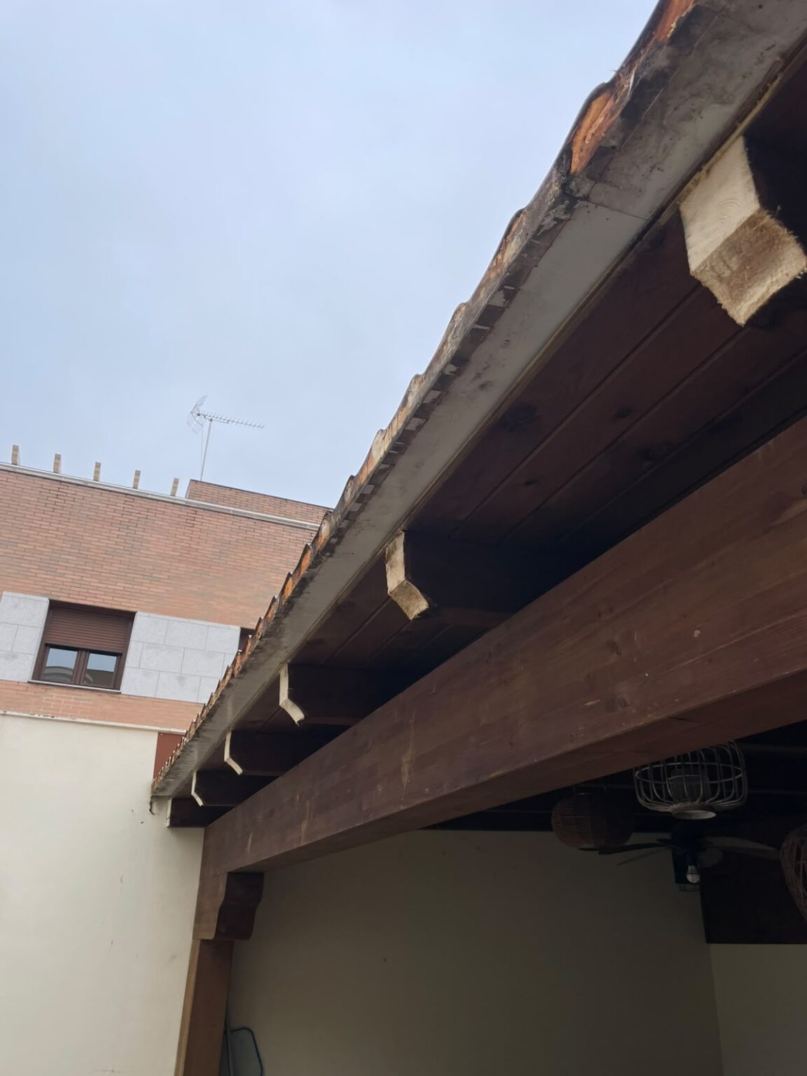 Trabajo de reparación de una pérgola de madera dañada por la humedad 3